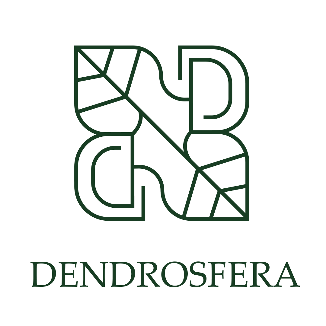 Dendrosfera
